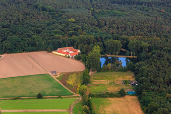 Vue aérienne de Lachenmühle Lustadt à la lisière de la forêt à le quartier Niederlustadt in Lustadt dans le département Rhénanie-Palatinat, Allemagne