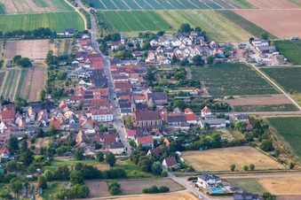 Vue aérienne de Lindenstr à le quartier Niederlustadt in Lustadt dans le département Rhénanie-Palatinat, Allemagne