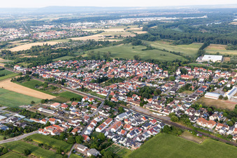 Vue d'oiseau de Quartier Berghausen in Römerberg dans le département Rhénanie-Palatinat, Allemagne