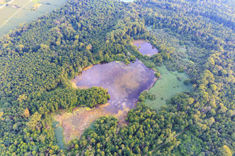 Vue aérienne de Weingarten Moor à Weingarten dans le département Bade-Wurtemberg, Allemagne