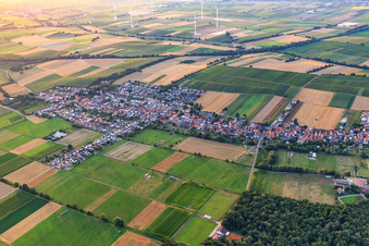 Vue aérienne de Vue d'ensemble du village depuis le sud-est à Freckenfeld dans le département Rhénanie-Palatinat, Allemagne