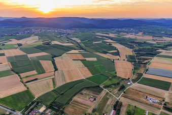 Vue aérienne de Route des vins du Sud depuis le sud-est à le quartier Rechtenbach in Schweigen-Rechtenbach dans le département Rhénanie-Palatinat, Allemagne