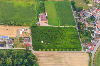 Image drone de Labyrinthe de maïs, lieu de mariage et salon de plage Seehof à Steinweiler dans le département Rhénanie-Palatinat, Allemagne