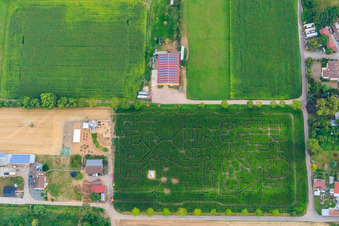 Labyrinthe de maïs, lieu de mariage et salon de plage Seehof à Steinweiler dans le département Rhénanie-Palatinat, Allemagne d'un drone
