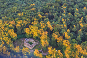 Vue aérienne de Ruines de Waldschlössel à Klingenmünster dans le département Rhénanie-Palatinat, Allemagne