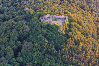 Ruines du château de Lindelbrunn à Vorderweidenthal dans le département Rhénanie-Palatinat, Allemagne hors des airs