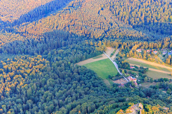 Vue aérienne de Maison Cramer à Vorderweidenthal dans le département Rhénanie-Palatinat, Allemagne