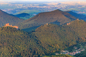 Vue aérienne de Château de Trifels, Jungturm et ruines du château de Scharfenberg à Annweiler am Trifels dans le département Rhénanie-Palatinat, Allemagne