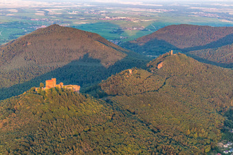Vue aérienne de Les 3 châteaux Trifels, Anebos et Münz à le quartier Bindersbach in Annweiler am Trifels dans le département Rhénanie-Palatinat, Allemagne