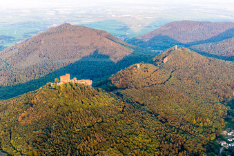 Vue aérienne de Les 3 châteaux Trifels, Anebos et Münz à le quartier Bindersbach in Annweiler am Trifels dans le département Rhénanie-Palatinat, Allemagne