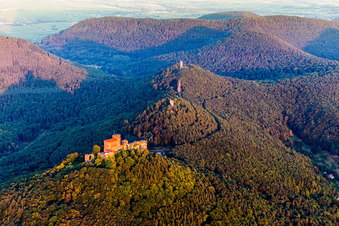 Vue aérienne de Le château de Trifels et les ruines du château d'Anebos, Scharfenberg (Münz) dans la lumière du matin au-dessus de la forêt du Palatinat à Annweiler am Trifels dans le département Rhénanie-Palatinat, Allemagne