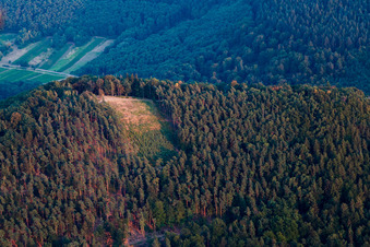 Vue aérienne de Point de départ N à Hohenberg à Birkweiler dans le département Rhénanie-Palatinat, Allemagne