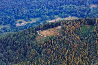 Vue aérienne de Site de décollage de parapente de Förlenberg à Leinsweiler dans le département Rhénanie-Palatinat, Allemagne