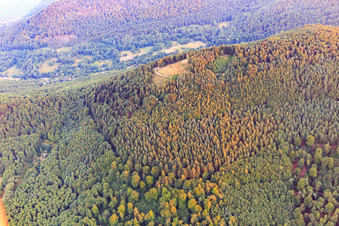 Vue aérienne de Site de décollage de parapente de Förlenberg à Leinsweiler dans le département Rhénanie-Palatinat, Allemagne