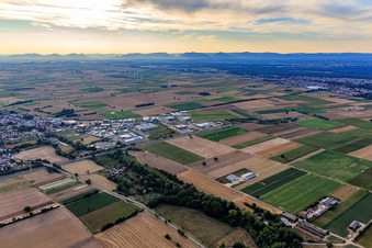 Vue aérienne de Zone commerciale de Nordring à Rülzheim dans le département Rhénanie-Palatinat, Allemagne