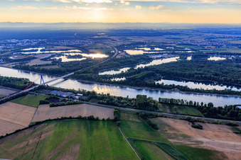 Vue aérienne de Pont autoroutier de l'A61 sur le Rhin au nord de Spire à Hockenheim dans le département Bade-Wurtemberg, Allemagne