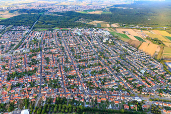 Vue aérienne de Vue de la ville depuis l'ouest à Ketsch dans le département Bade-Wurtemberg, Allemagne