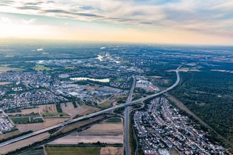 Vue aérienne de Sortie A6 Schwetzingen-Rheinau à Schwetzingen dans le département Bade-Wurtemberg, Allemagne