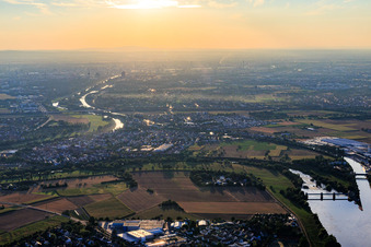 Vue aérienne de Vue de la ville depuis l'est sur les rives du Neckar à Ilvesheim dans le département Bade-Wurtemberg, Allemagne