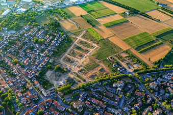 Vue aérienne de Développement du nouveau quartier de Gänsäcker à Ladenburg dans le département Bade-Wurtemberg, Allemagne