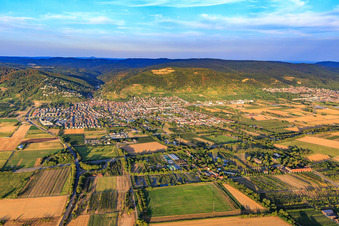Vue aérienne de Vue de la ville sur la Bergstraße depuis l'ouest à Schriesheim dans le département Bade-Wurtemberg, Allemagne