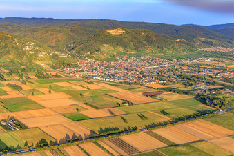 Vue aérienne de Vue de la ville sur la Bergstraße depuis le nord-ouest à Schriesheim dans le département Bade-Wurtemberg, Allemagne