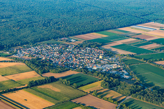 Quartier Hüttenfeld in Lampertheim dans le département Hesse, Allemagne depuis l'avion