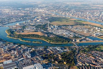 Vue aérienne de Île de Friesenheim à le quartier Neckarstadt-West in Mannheim dans le département Bade-Wurtemberg, Allemagne