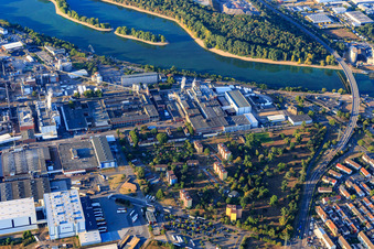 Vue aérienne de Essity Operations GmbH à le quartier Sandhofen in Mannheim dans le département Bade-Wurtemberg, Allemagne