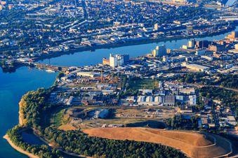 Vue aérienne de Zone industrielle sur l'île de Friesenheim avec SteloTec GmbH et Heinrich Helfert GmbH & Co. KG à le quartier Neckarstadt-West in Mannheim dans le département Bade-Wurtemberg, Allemagne