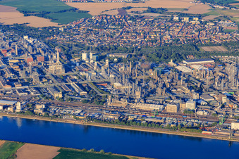Vue aérienne de Rue du Compresseur à le quartier BASF in Ludwigshafen am Rhein dans le département Rhénanie-Palatinat, Allemagne