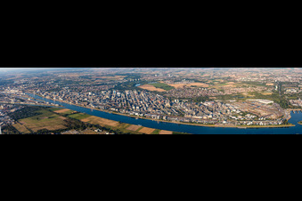 Vue aérienne de Panorama à le quartier BASF in Ludwigshafen am Rhein dans le département Rhénanie-Palatinat, Allemagne