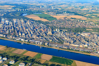 Quartier BASF in Ludwigshafen am Rhein dans le département Rhénanie-Palatinat, Allemagne d'en haut