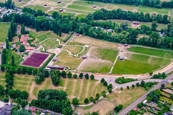 Vue aérienne de Ferme d'autruches à Rülzheim dans le département Rhénanie-Palatinat, Allemagne