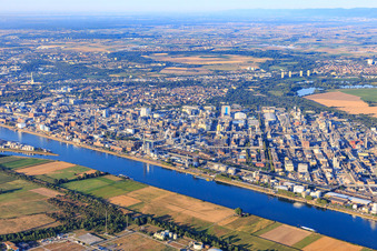 Quartier BASF in Ludwigshafen am Rhein dans le département Rhénanie-Palatinat, Allemagne vue d'en haut