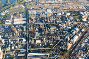 Photographie aérienne de Quartier BASF in Ludwigshafen am Rhein dans le département Rhénanie-Palatinat, Allemagne