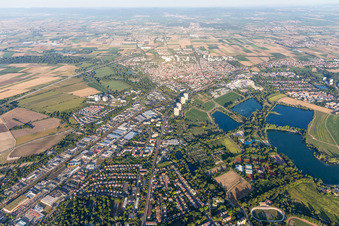 Vue aérienne de Rue Stern à le quartier Friesenheim in Ludwigshafen am Rhein dans le département Rhénanie-Palatinat, Allemagne