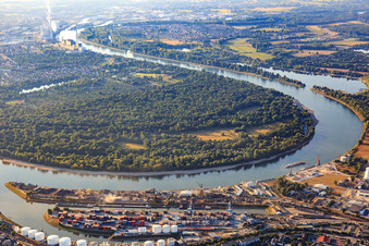 Vue aérienne de Kaiserwörthhafen et Reisinsel de l'autre côté du Rhin à le quartier Mundenheim in Ludwigshafen am Rhein dans le département Rhénanie-Palatinat, Allemagne