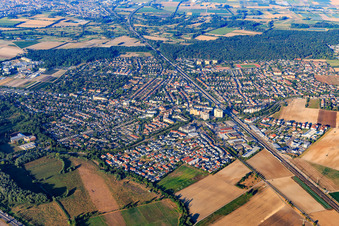 Vue aérienne de Vue de la ville depuis le nord-est à Limburgerhof dans le département Rhénanie-Palatinat, Allemagne