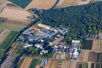Vue aérienne de Centre agricole BASF à Limburgerhof dans le département Rhénanie-Palatinat, Allemagne
