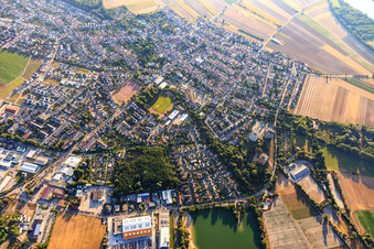 Vue aérienne de Vue d'ensemble de la ville depuis l'ouest à Neuhofen dans le département Rhénanie-Palatinat, Allemagne