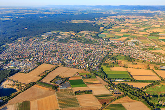 Vue aérienne de Vue de la ville depuis le nord-est à Schifferstadt dans le département Rhénanie-Palatinat, Allemagne