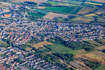 Vue aérienne de Mutterstadter Straße à Schifferstadt dans le département Rhénanie-Palatinat, Allemagne