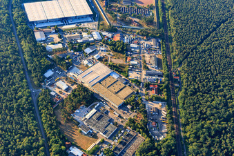 Vue aérienne de Zone industrielle Carl-Benz-Straße avec G. Staehle GmbH & Co. et Türmerleim GmbH à Schifferstadt dans le département Rhénanie-Palatinat, Allemagne