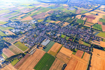 Vue aérienne de Vue du village depuis le nord à Schwegenheim dans le département Rhénanie-Palatinat, Allemagne