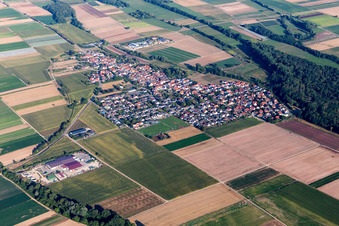 Vue aérienne de Champs agricoles et terres agricoles à Freisbach dans le département Rhénanie-Palatinat, Allemagne