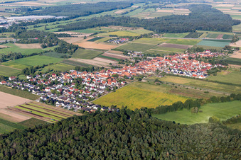 Vue aérienne de Du nord-est à Erlenbach bei Kandel dans le département Rhénanie-Palatinat, Allemagne