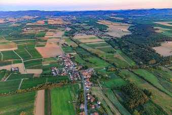 Vue aérienne de Vue du village depuis l'est à Hergersweiler dans le département Rhénanie-Palatinat, Allemagne