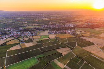 Vue aérienne de Vue de la ville au lever du soleil depuis le sud-ouest à le quartier Ingenheim in Billigheim-Ingenheim dans le département Rhénanie-Palatinat, Allemagne