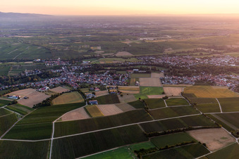 Vue d'oiseau de Quartier Billigheim in Billigheim-Ingenheim dans le département Rhénanie-Palatinat, Allemagne